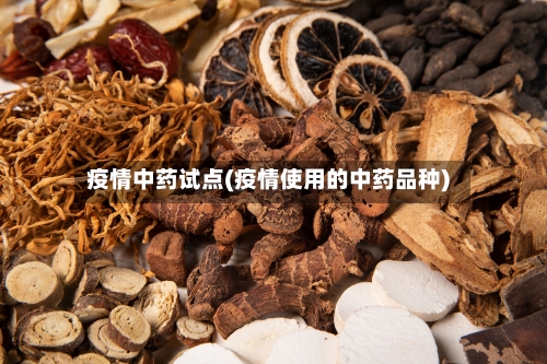 疫情中药试点(疫情使用的中药品种)-第2张图片