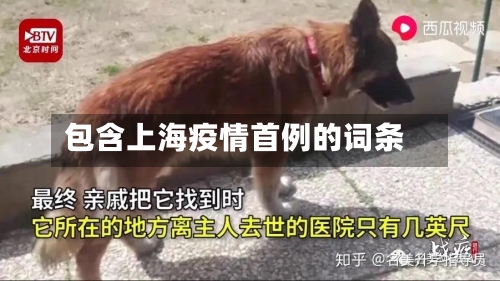 包含上海疫情首例的词条