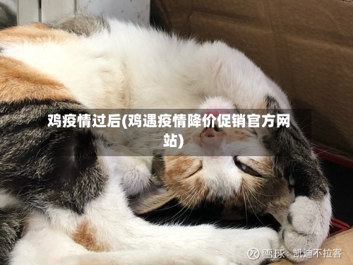 鸡疫情过后(鸡遇疫情降价促销官方网站)