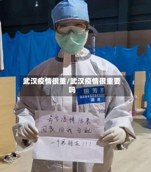 武汉疫情很重/武汉疫情很重要吗-第3张图片