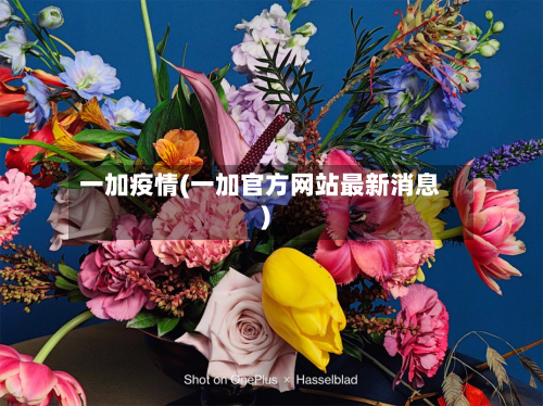 一加疫情(一加官方网站最新消息)-第2张图片