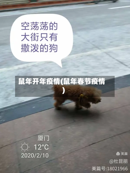 鼠年开年疫情(鼠年春节疫情)