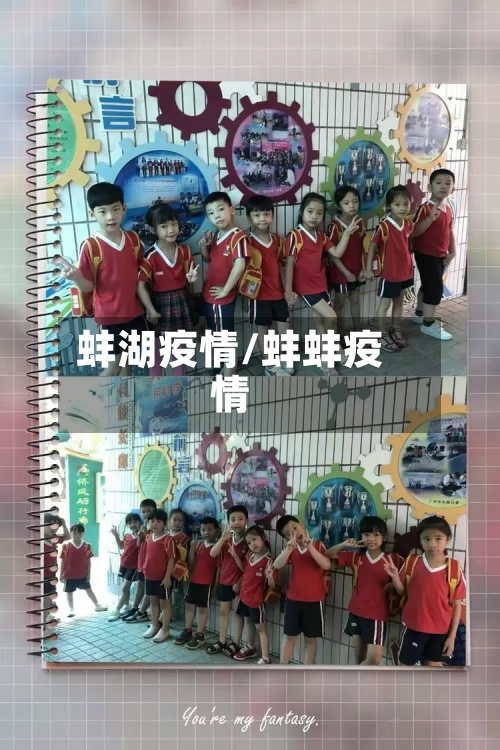 蚌湖疫情/蚌蚌疫情