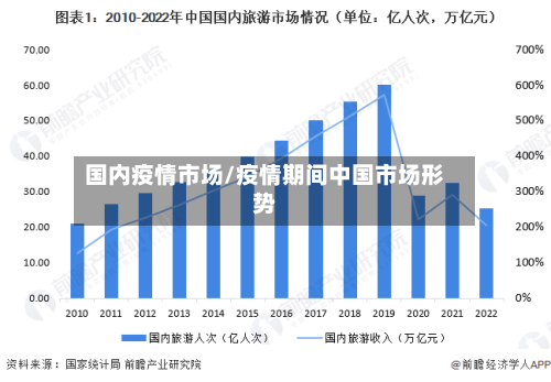 国内疫情市场/疫情期间中国市场形势