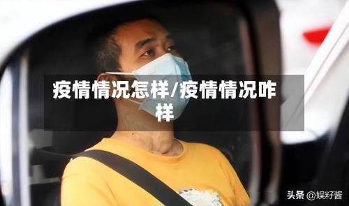 疫情情况怎样/疫情情况咋样
