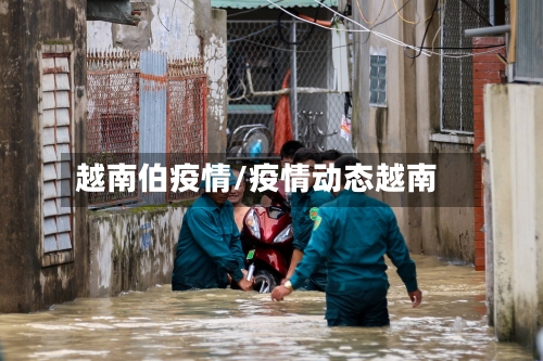 越南伯疫情/疫情动态越南