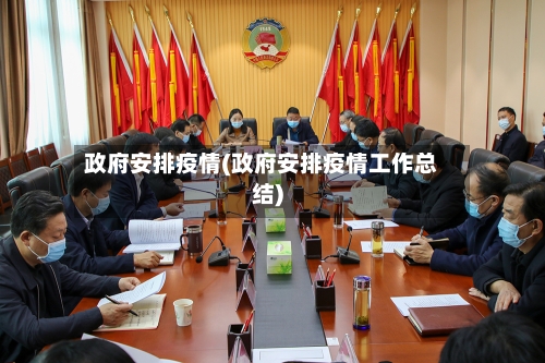 政府安排疫情(政府安排疫情工作总结)-第2张图片