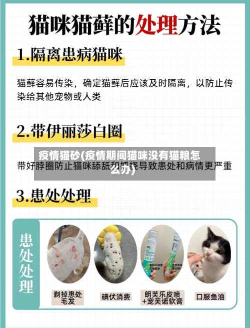 疫情猫砂(疫情期间猫咪没有猫粮怎么办)