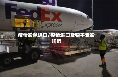疫情影像进口/疫情进口货物不受影响吗