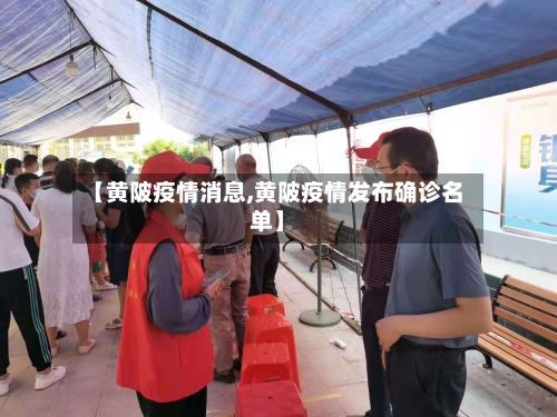 【黄陂疫情消息,黄陂疫情发布确诊名单】-第3张图片