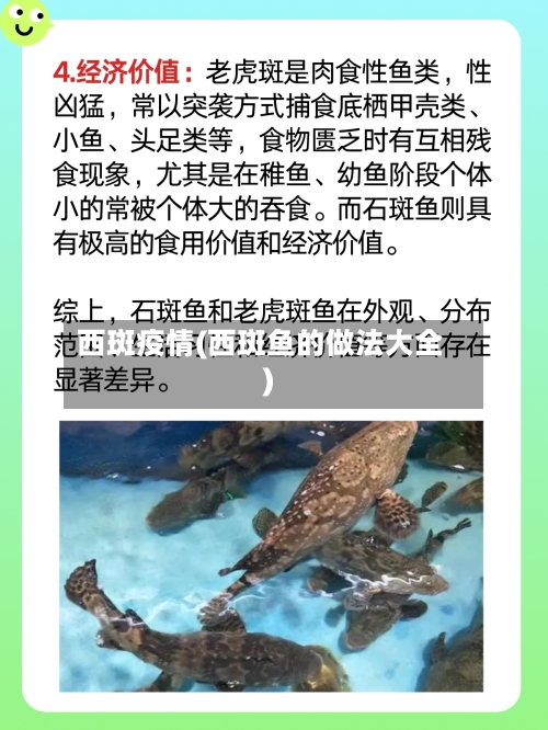 西斑疫情(西斑鱼的做法大全)