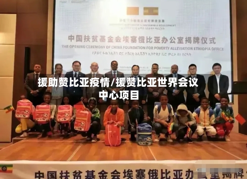 援助赞比亚疫情/援赞比亚世界会议中心项目