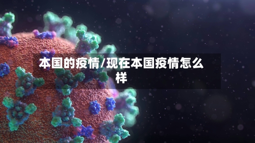本国的疫情/现在本国疫情怎么样-第2张图片