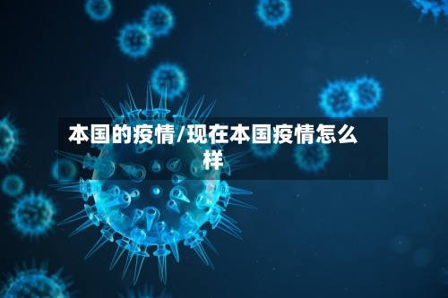 本国的疫情/现在本国疫情怎么样