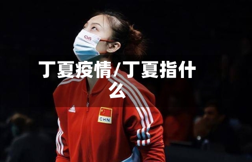 丁夏疫情/丁夏指什么
