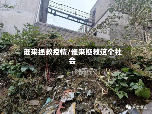 谁来拯救疫情/谁来拯救这个社会