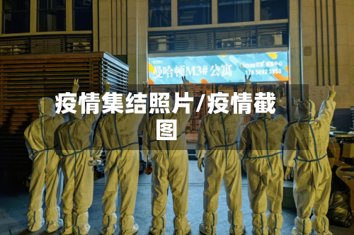 疫情集结照片/疫情截图-第3张图片