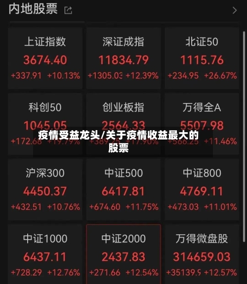 疫情受益龙头/关于疫情收益最大的股票-第2张图片
