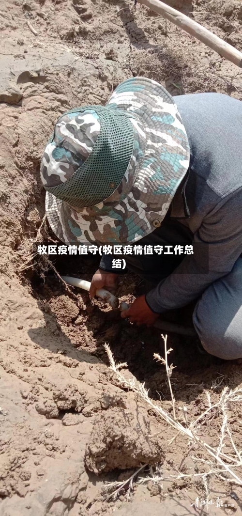 牧区疫情值守(牧区疫情值守工作总结)