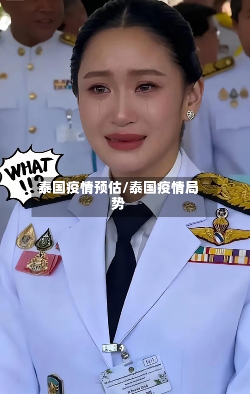 泰国疫情预估/泰国疫情局势-第2张图片