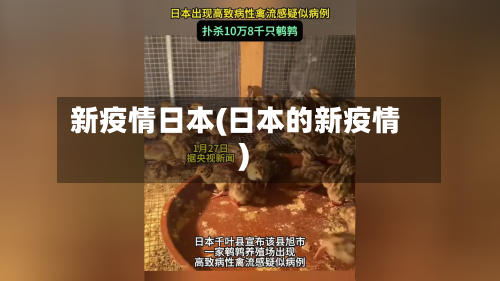 新疫情日本(日本的新疫情)