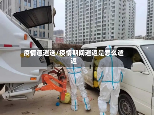 疫情遭遣送/疫情期间遣返是怎么遣返-第1张图片