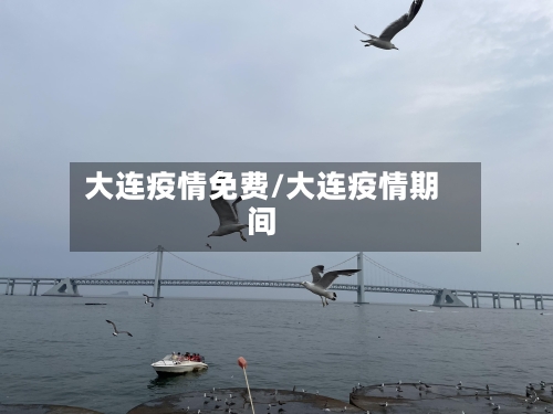 大连疫情免费/大连疫情期间