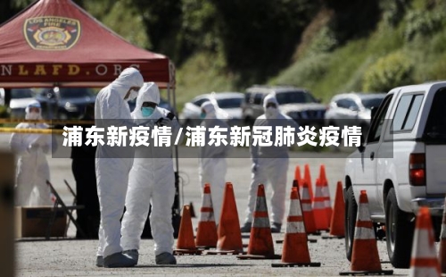 浦东新疫情/浦东新冠肺炎疫情-第2张图片