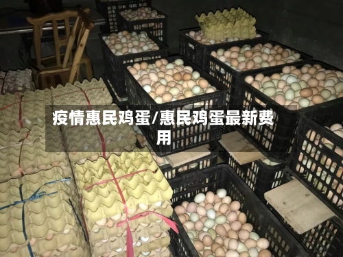疫情惠民鸡蛋/惠民鸡蛋最新费用