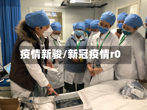疫情新骏/新冠疫情r0-第2张图片