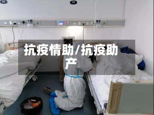 抗疫情助/抗疫助产-第2张图片