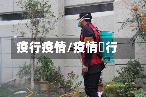 疫行疫情/疫情岀行