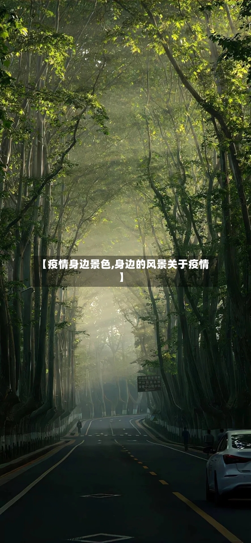 【疫情身边景色,身边的风景关于疫情】