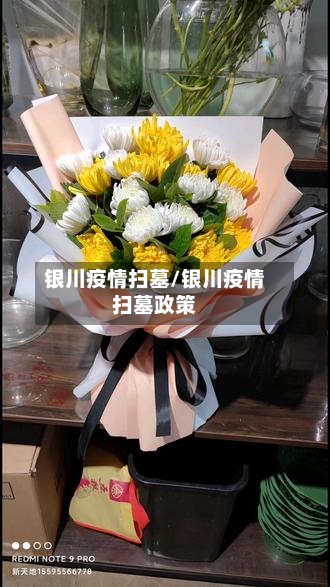 银川疫情扫墓/银川疫情扫墓政策