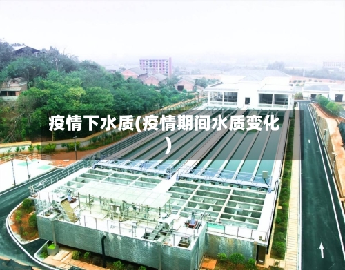 疫情下水质(疫情期间水质变化)