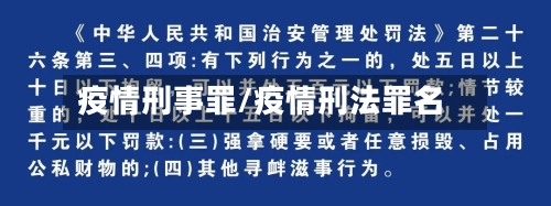 疫情刑事罪/疫情刑法罪名-第2张图片