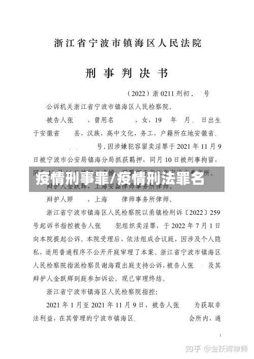 疫情刑事罪/疫情刑法罪名