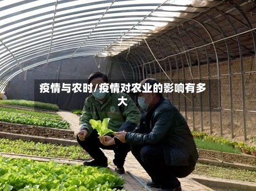 疫情与农时/疫情对农业的影响有多大-第1张图片