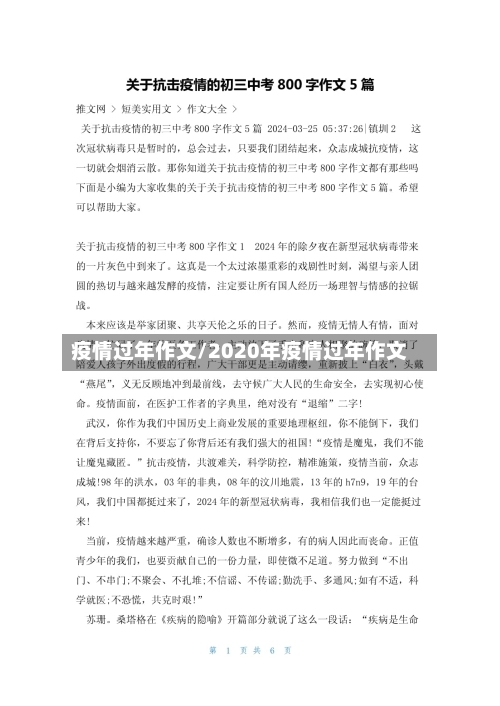 疫情过年作文/2020年疫情过年作文-第2张图片