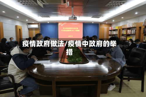疫情政府做法/疫情中政府的举措-第1张图片