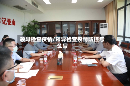 领导检查疫情/领导检查疫情防控怎么写