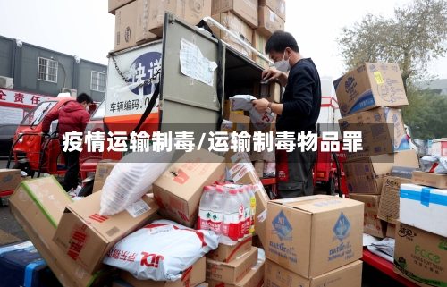 疫情运输制毒/运输制毒物品罪-第3张图片