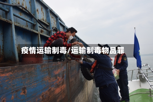 疫情运输制毒/运输制毒物品罪