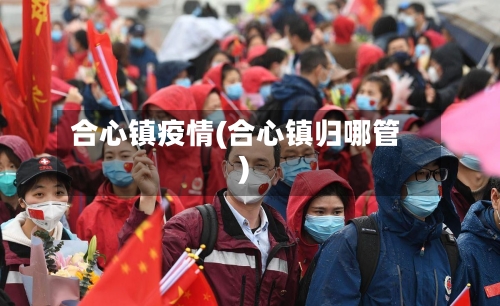 合心镇疫情(合心镇归哪管)