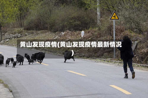 黄山发现疫情(黄山发现疫情最新情况)