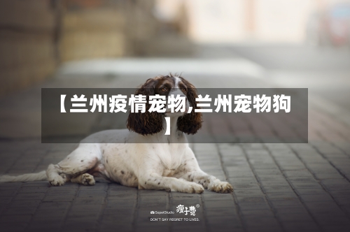 【兰州疫情宠物,兰州宠物狗】