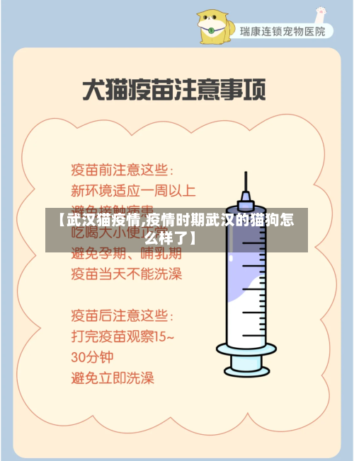 【武汉猫疫情,疫情时期武汉的猫狗怎么样了】