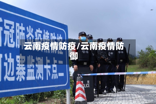 云南疫情防疫/云南疫情防御