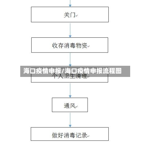 海口疫情申报/海口疫情申报流程图