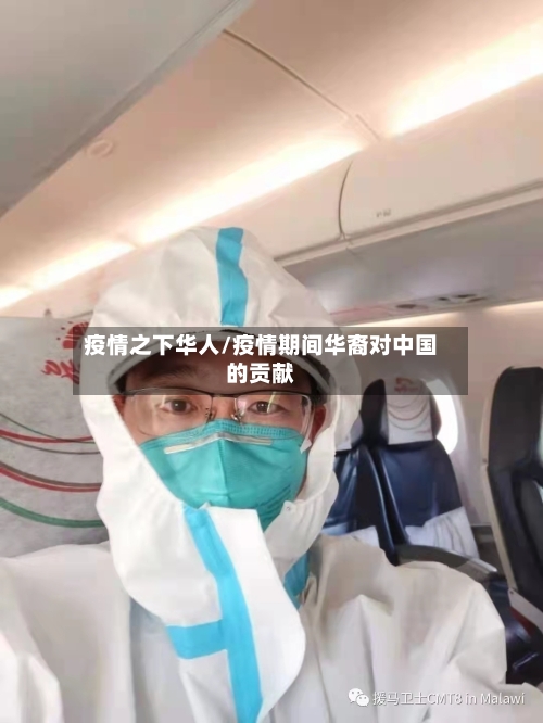 疫情之下华人/疫情期间华裔对中国的贡献-第2张图片